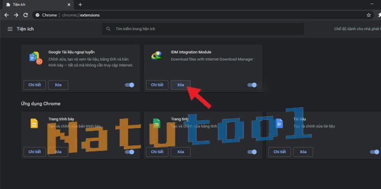 cai-dat-Extension-Add-on-cua-IDM-tren-Chrome