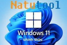 Hướng dẫn cách nâng cấp lên Win 11 chính thức từ Windows 10