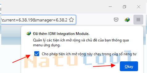 cho-phep-tien-ich-idm-chay-tren-cua-so-rieng-tu