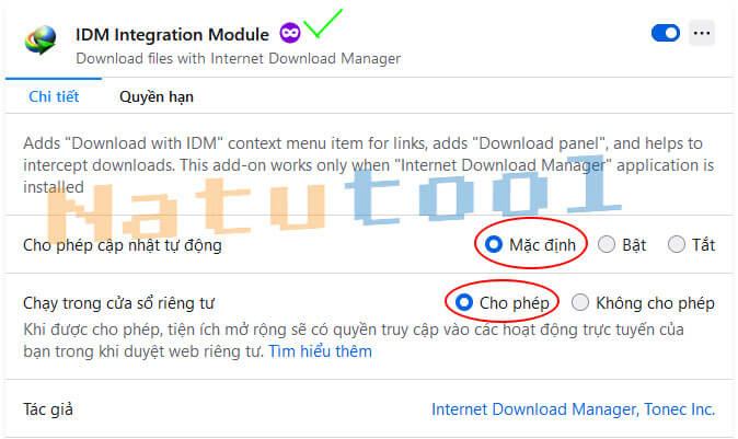 idm-khong-tu-bat-link-youtube-firefox