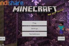 Tải Minecraft 1.17.2 APK tiếng Việt + Login Xbox Live cho Android