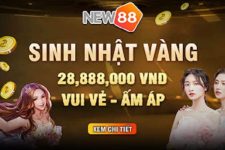 New88 – Nhà Cái Uy Tín Tặng Tiền Cược Miễn Phí