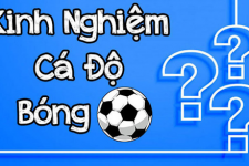 Chào đón World Cup với những trận đấu hấp dẫn ngay tại sảnh thể thao QH88 