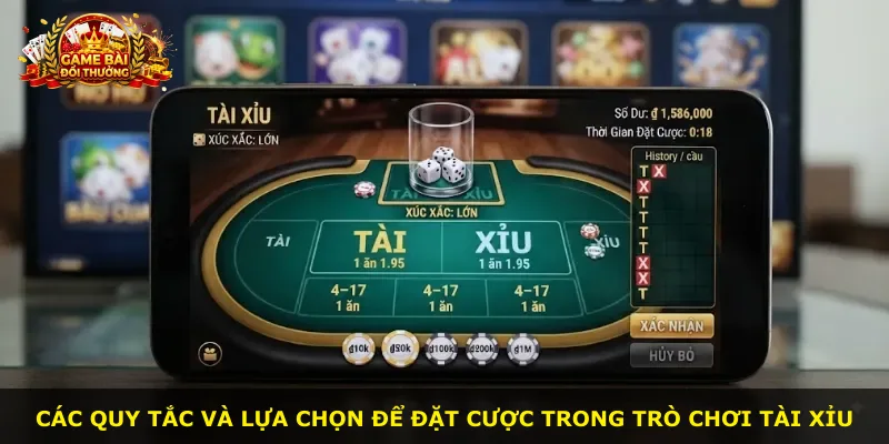 Các quy tắc và lựa chọn để đặt cược trong trò chơi tài xỉu