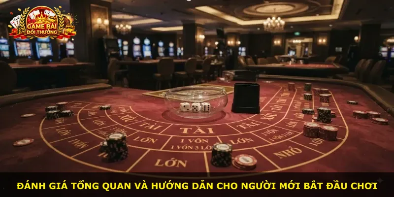 Đánh giá tổng quan và hướng dẫn cho người mới bắt đầu chơi