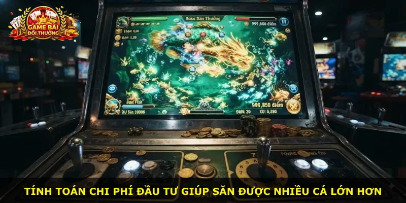 Tính toán chi phí đầu tư giúp săn được nhiều cá lớn hơn