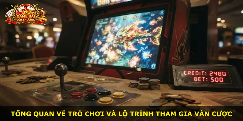 Tổng quan về trò chơi và lộ trình tham gia ván cược