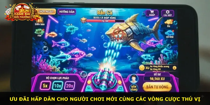 Ưu đãi hấp dẫn cho người chơi mới cùng các vòng cược thú vị